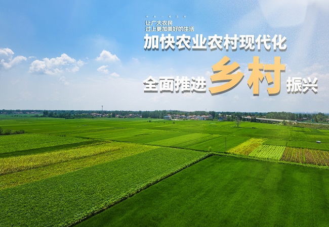 智慧農業相關政策匯總和解讀.jpg